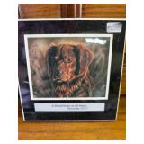 4 Plaques Featuring Animals and Bible Verses