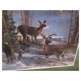 Whitetail Deer, Redlin Prints