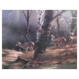 Whitetail Deer, Redlin Prints