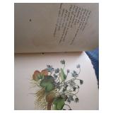 Framed Quotes & Antique Poetry