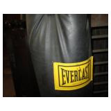 Everlast punching bag...