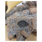 Pair of Yellow Shark Sculptures on Rock Base Coastal Nautical Decor