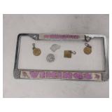 Minnesota Vikings License Plate Frame with Vintage North Oaks Dog License Tags Collection