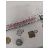 Minnesota Vikings License Plate Frame with Vintage North Oaks Dog License Tags Collection