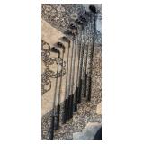 TaylorMade Golf Club Set with bag.