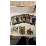 UPPER Deck golf cards, (mostly tigers tales)