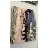 MOUNTED photos 11” x 14”  - various subjects