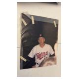 MOUNTED photos 11” x 14”  - various subjects