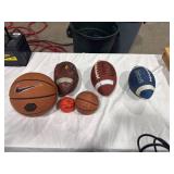 Assorted Sports Balls Lot