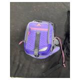Assorted Backpack Lot