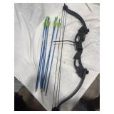 Compound Bow with Arrows