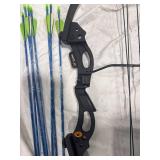 Compound Bow with Arrows