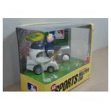 KG Sports RC Bullpen Car