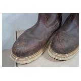 Irish Setter Ashby Men