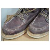 Irish Setter Ashby Men