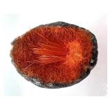 Rutile in Basalt Geode - Orange Hair Crystals, Pair of Halves