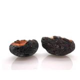 Rutile in Basalt Geode - Orange Hair Crystals, Pair of Halves