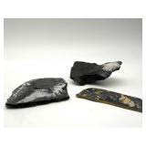 Fossil Ferns on Black Shale (Lot of 3)