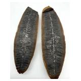 Fossil Halves - From The Same Stone (Lot of 2)