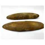 Fossil Halves - From The Same Stone (Lot of 2)