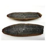 Fossil Halves - From The Same Stone (Lot of 2)