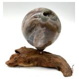 Polished Banded Agate Sphere on Driftwood Stand with Crystal Druzy