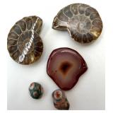 Banded Stone Cylinder Cup & Ammonite Fossils Polished Stone Collection