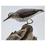 Excellent Hand Carved & Painted Folk Art Shore Bird #1