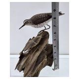 Excellent Hand Carved & Painted Folk Art Shore Bird #1