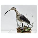Larger Excellent Hand Carved & Painted Folk Art Shore Bird #2
