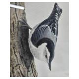 ORIGINAL Watercolor Bird Painting by Noel Dunn