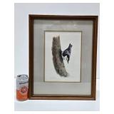 ORIGINAL Watercolor Bird Painting by Noel Dunn