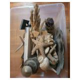 Nautical Coastal Decor Lot - Starfish, Shells, Coral, Driftwood, Lighthouse & Lantern