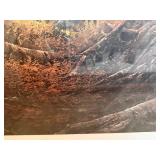 Framed Art Print - Bird in Birch Forest Scene