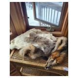 Fox Fur Pelts - Natural Gray & Brown (Lot of 2)