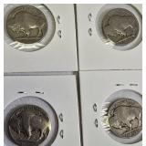 13 Different Buffalo Nickels