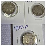 Nine Different Buffalo Nickels