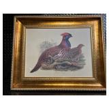 Pheasant Print in Ornate Gold Frame - Framed Wildlife Artwork