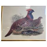 Pheasant Print in Ornate Gold Frame - Framed Wildlife Artwork