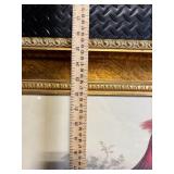 Pheasant Print in Ornate Gold Frame - Framed Wildlife Artwork