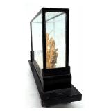 Hall Pottery Sugar & Creamer Set - Cork Carving Under Glass Diorama - Sugar Packet Caddy