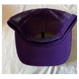 Minnesota Vikings New Richardson Skull Hat