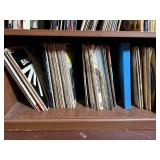 Vinyl Record Collection in Wood Cabinet