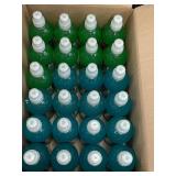 Big Juice Berry Raspberry Lemon Lime 10 oz Bottled Beverage 24 Pack