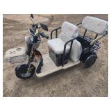 2026 SDLANCH Electric Tricycle Mini Golf Cart (IRGC40) BLACK!
