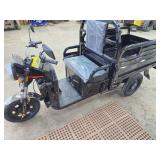 2026 SDLANCH 3-Wheel Electric Tricycle Vehicle (IRET13)