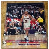Damon Stoudamire Autographed Signature Rookies 8x10" Baseball Photo Card
