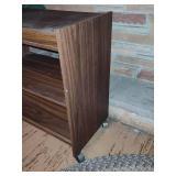 Large Oval Braided Rug & Rolling Shelf/Cart