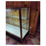 Lighted Glass/Metal Display Case