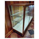 Lighted Glass/Metal Display Case
